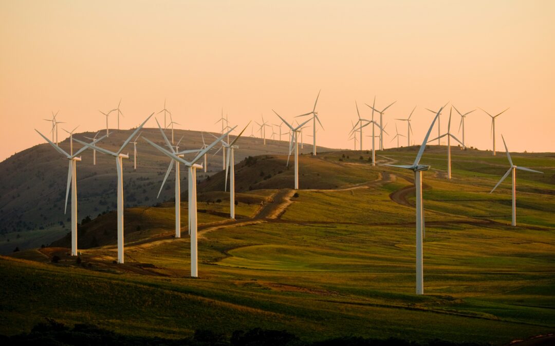 Renewable Energy Services in Cambridge: Pioneering a Sustainable Future